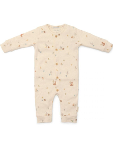 R - LITTLE DUTCH TUTINA INTERA FOREST...